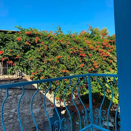 White House Villa *